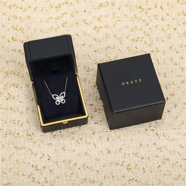 202421016539974 13058